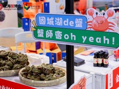 螃蟹养殖危机：一壳损蟹比例激增，养殖户如何破局？